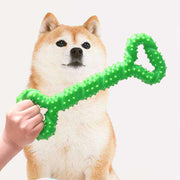 Pet Molar Bite Resistant Stick With Stab